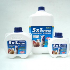 5x1 Ovino®