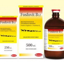 Fosfovit B12®