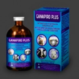 Ganapiro Plus