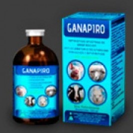 Ganapiro