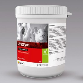 Lysozym 100 | Zymex 100