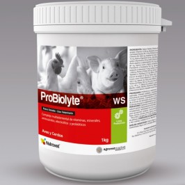 Probiolyte WS