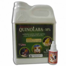 Quinolaba Oral 10 %